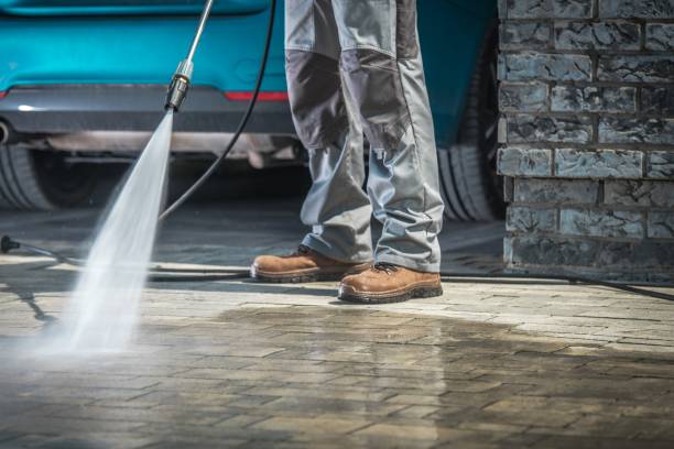 Best Driveway Pressure Washing  in Palermo, NJ
